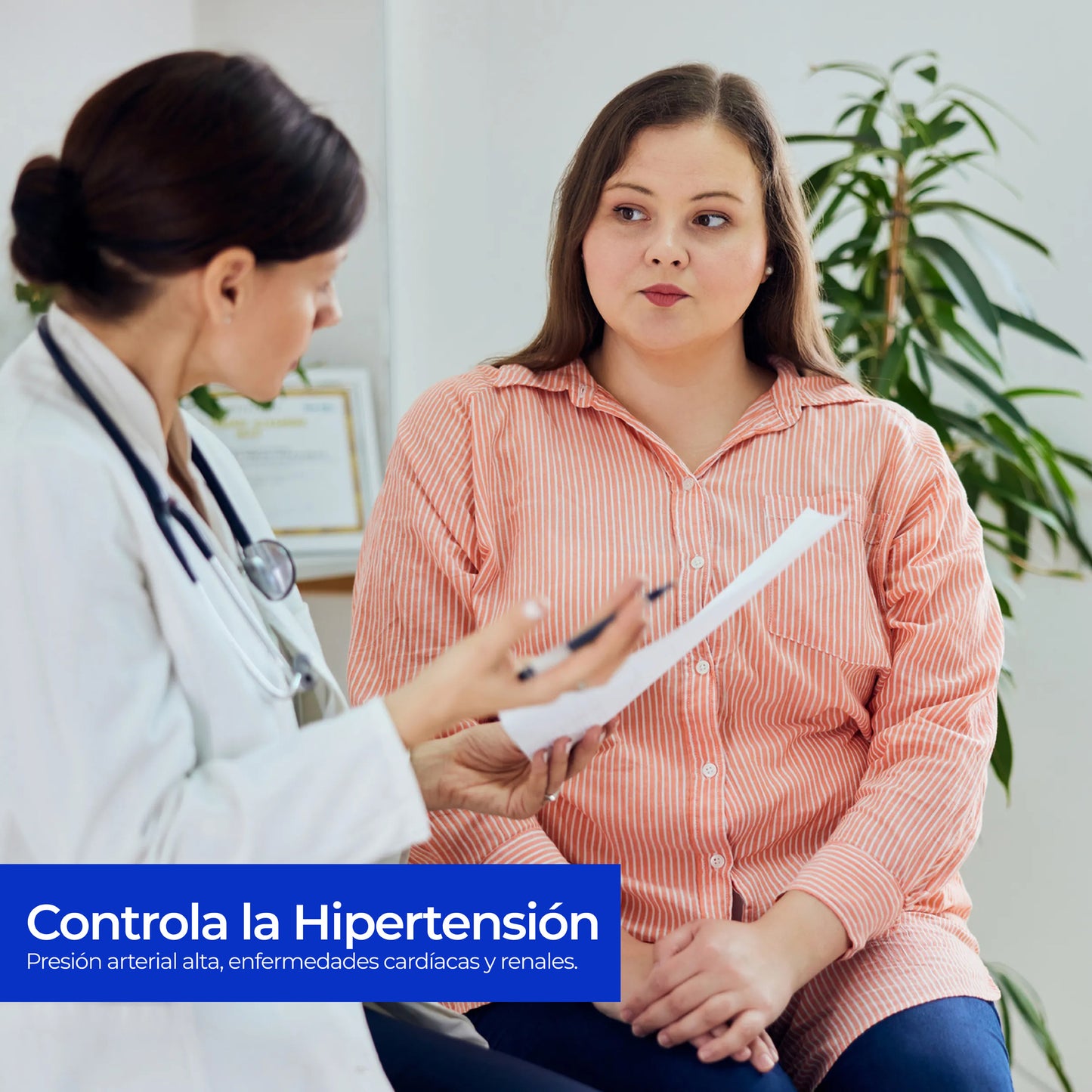 Tira Reactiva para Colesterol para Equipo 4 en 1 REDDYZ