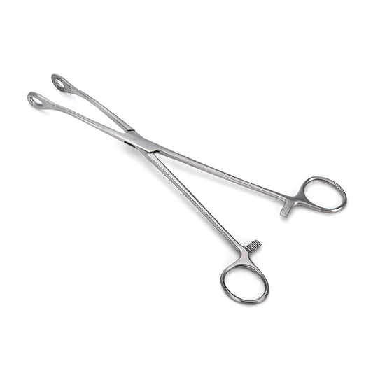 Pinza Anillo FOERSTER Curva Dentada de 24 CM