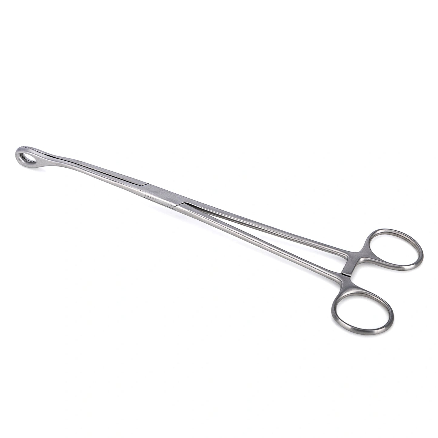 Pinza Anillo FOERSTER Curva Dentada de 24 CM