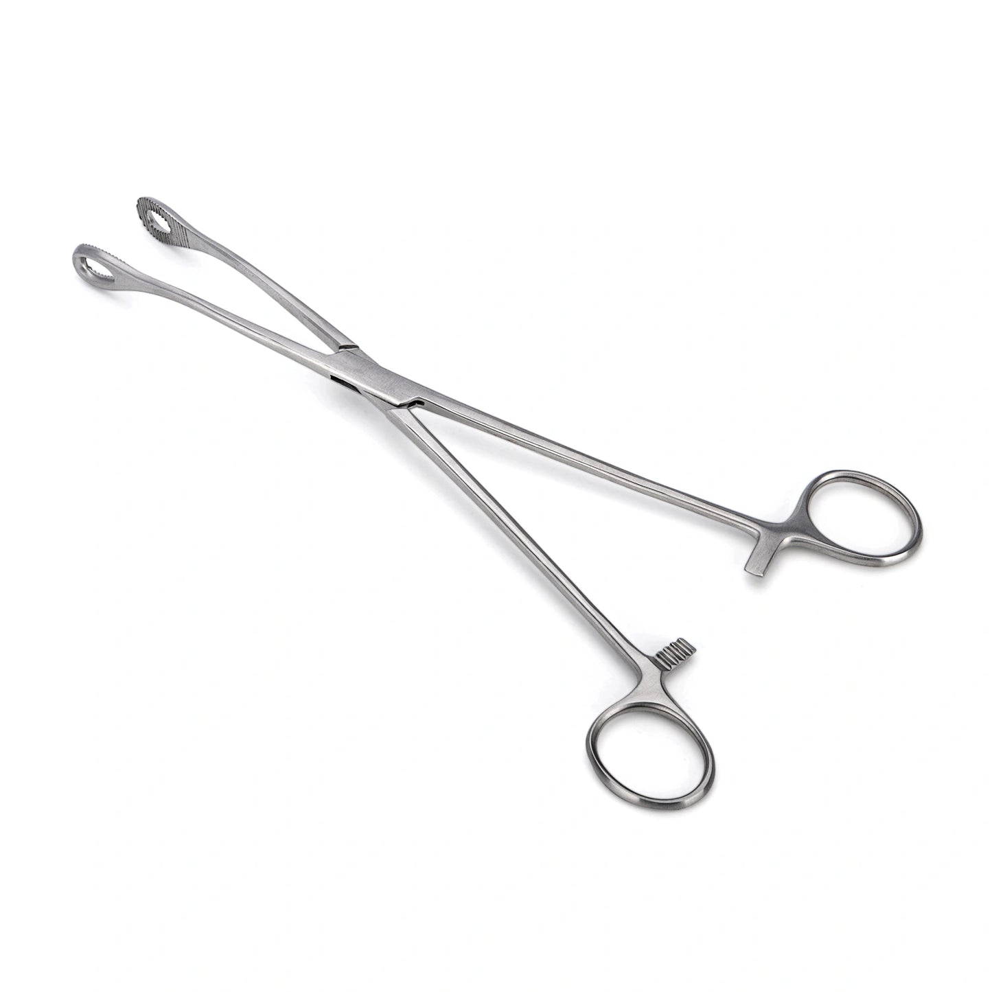 Pinza Anillo FOERSTER Curva Dentada de 24 CM