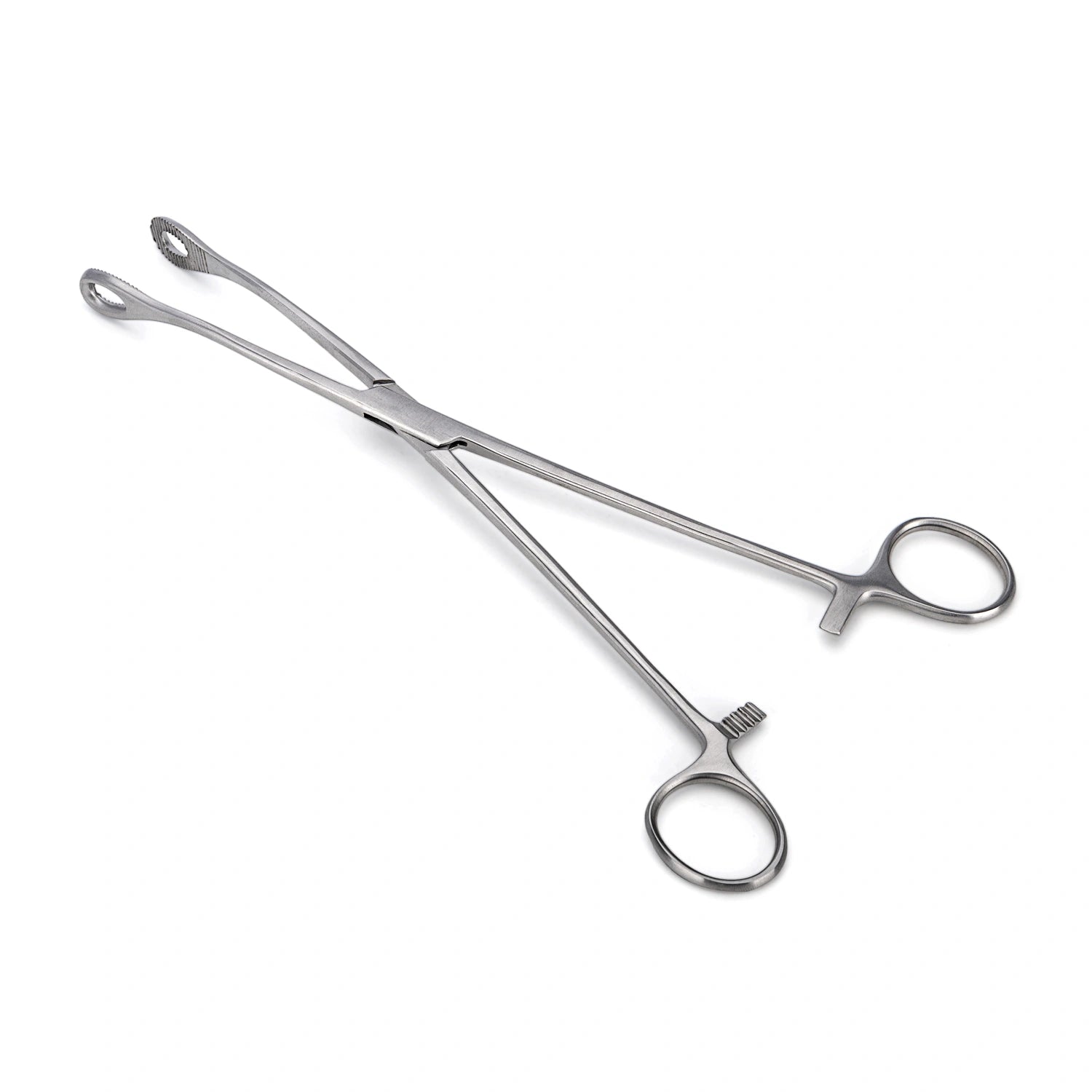 Pinza Anillo FOERSTER Curva Dentada de 24 CM
