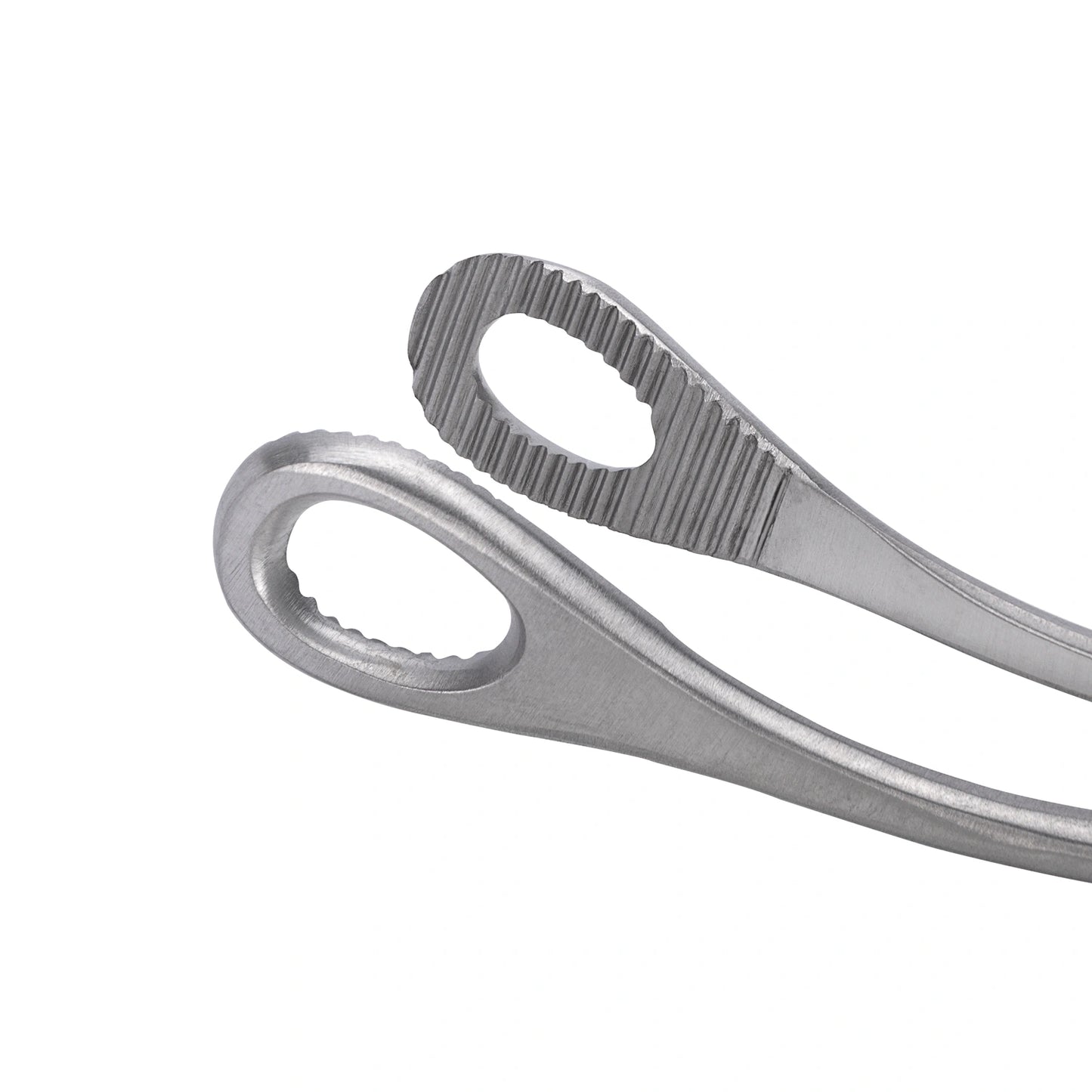 Pinza Anillo FOERSTER Curva Dentada de 24 CM