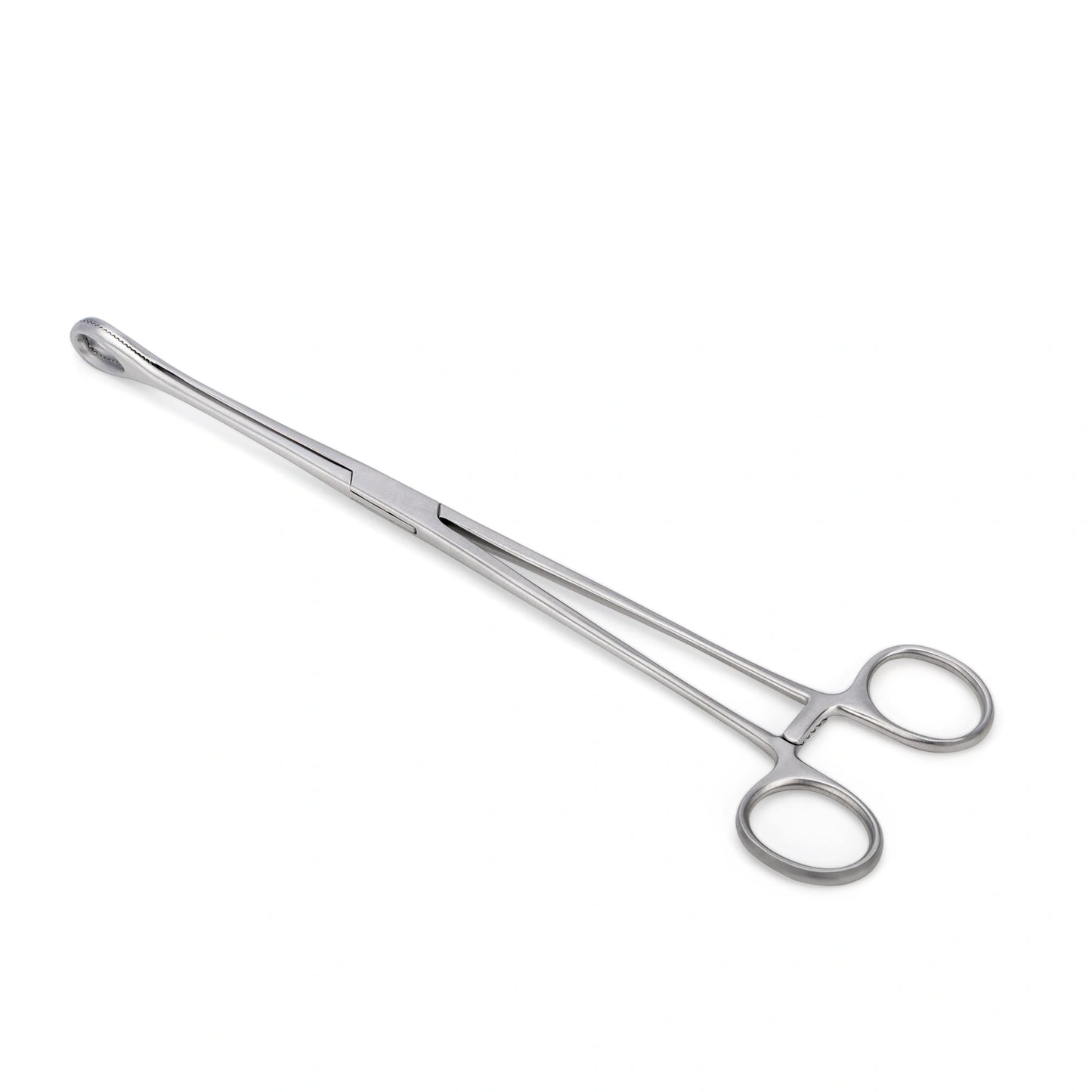 Pinza Anillo FOERSTER Recta Dentada de 24 CM