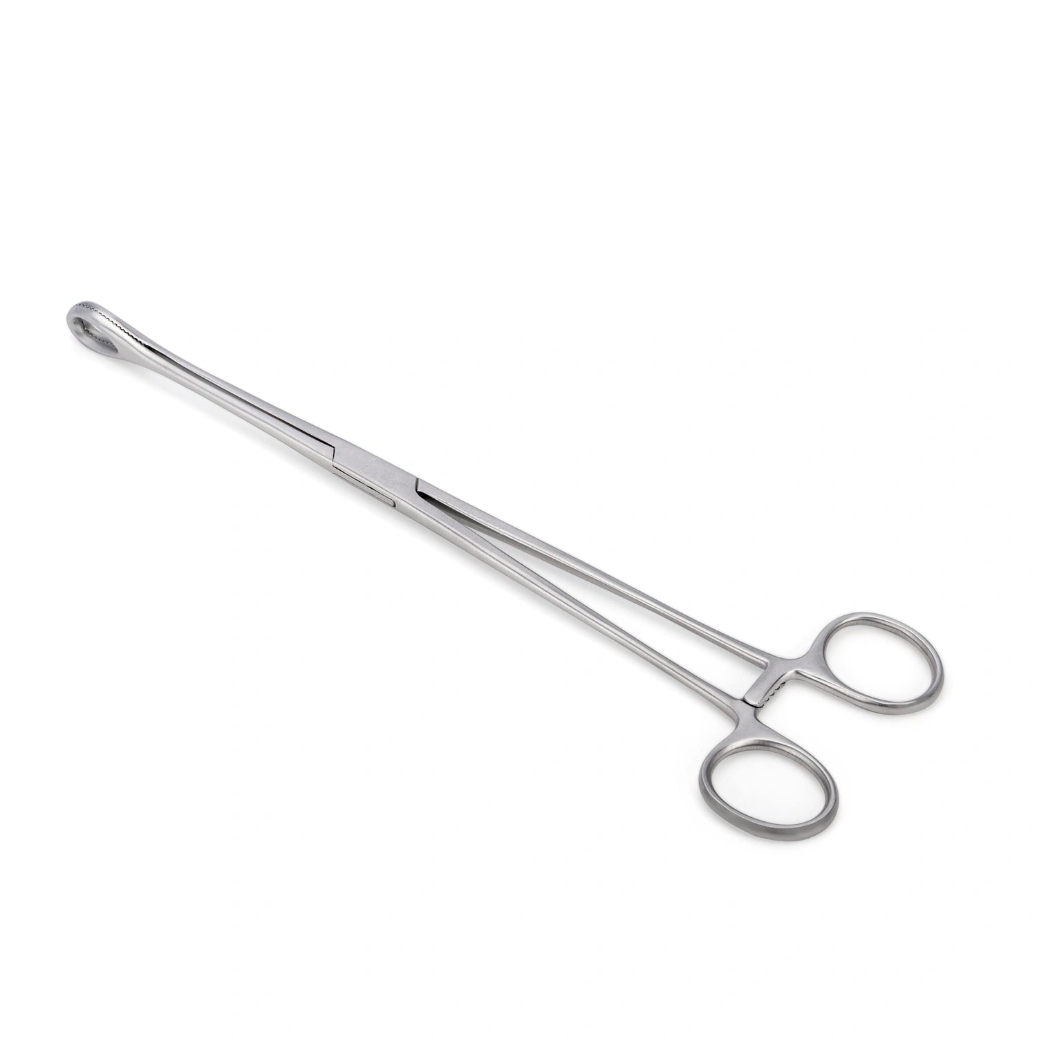 Pinza Anillo FOERSTER Recta Dentada de 24 CM