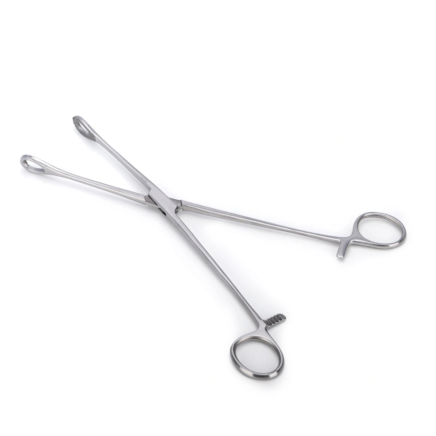 Pinza Anillo FOERSTER Recta Dentada de 24 CM