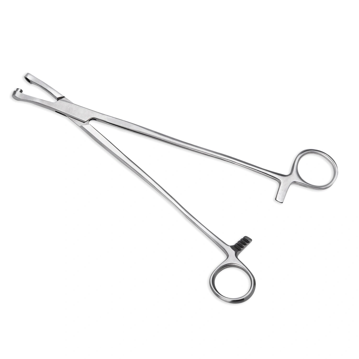 Pinza THOMS GAYLOR para Biopsia Uterina de 24 CM