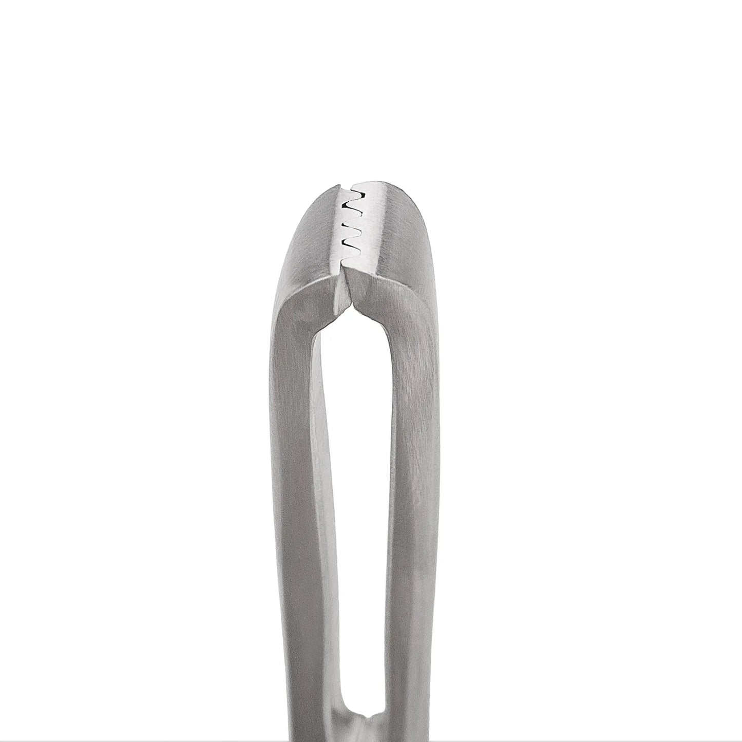Pinza Allis 4 X 5 Dientes 15 CM