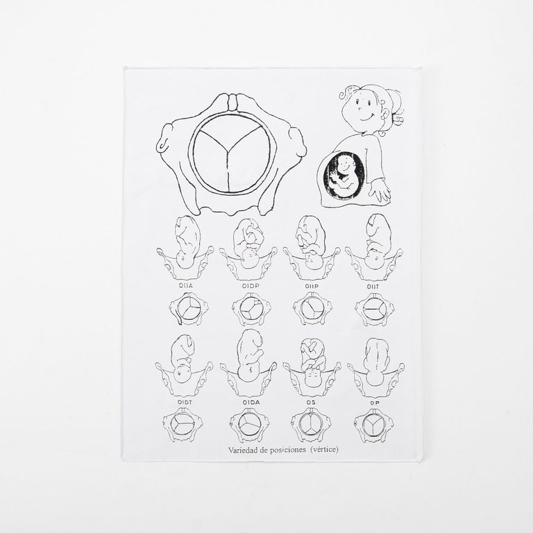 Kit Perinatal para Obstetra